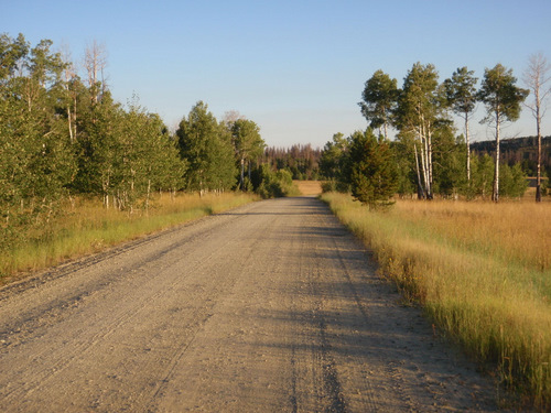 Looking north on NF 801.